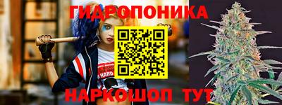 spice Аргун