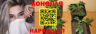 spice Аргун